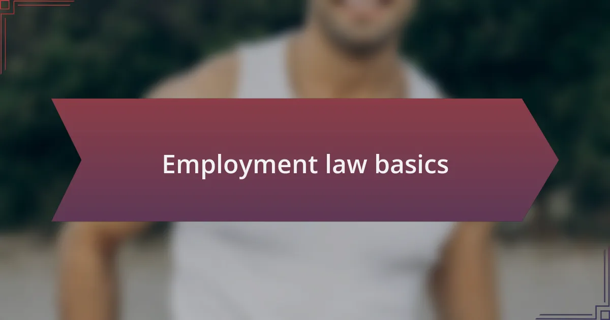 Employment law basics